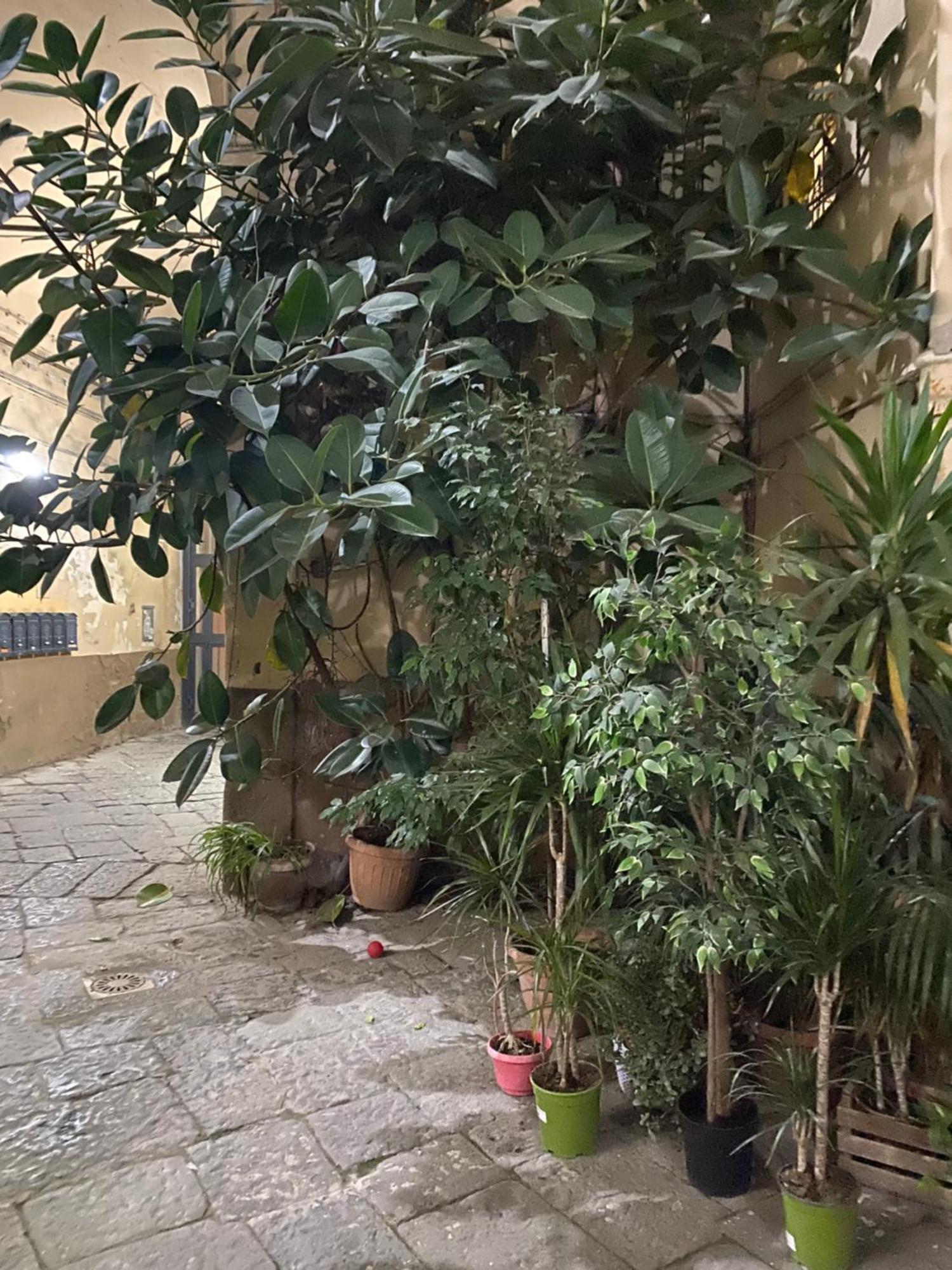 The Paradise House Naples Extérieur photo
